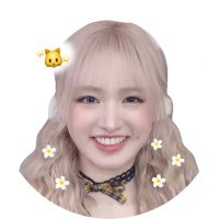 𝑚𝑖𝑜 ^.ˬ.^🌼 (@kj_meow_s2) 's Twitter Profile