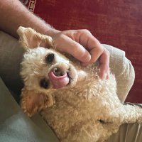 stephen norton (@stephennor62042) 's Twitter Profile