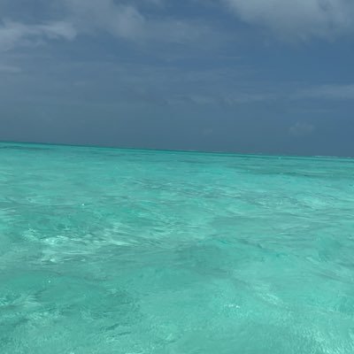 Suily9238's profile picture. 