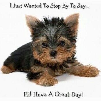 IveBeenErasedX4's profile picture. Wondering why I don't have a bio posted, it's b/c I've been erased 4 times & now I'm just keeping it light. You want to know more, check my out my posts/reposts