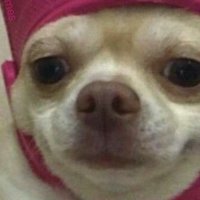 MF (@mf_techs) 's Twitter Profile