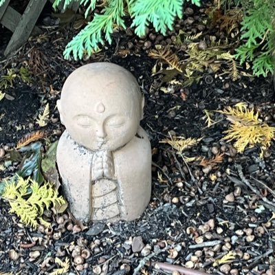 DJDunnyFlynn's profile picture. 📡📡📡