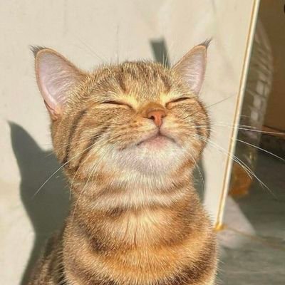 gunjanghate11's profile picture. #gg | CS Undergrad | Meowing Vitamin - Code 
my own npm pkg :- https://t.co/MC7sAAbYbM