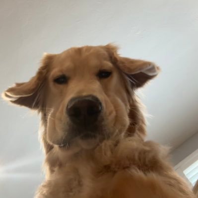 b_flinn10's profile picture. Blake Hinson Fan Page