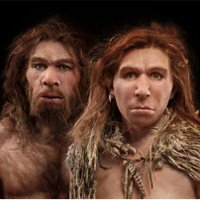 Neanderthal (@horizoned2) 's Twitter Profile
