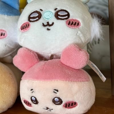 1031L's profile picture. SGSQ