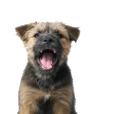 @TheHowlingPuppy