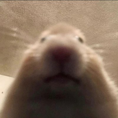 Sachin_S_Patwal's profile picture. FullStack developer