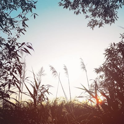 2wAlu6d0VMBJnlY's profile picture. 丁寧な暮らし。綺麗な風景、些細な幸せ、日常で出会う美しさをポストします✨ごちゃっとした都内にいるからこそ、心にゆとりを持ちたい🌱🌸✨