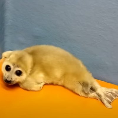 zapdiggitywow's profile picture. salem | 22 | they/them | :-) - FRANKENSTEIN PILLED