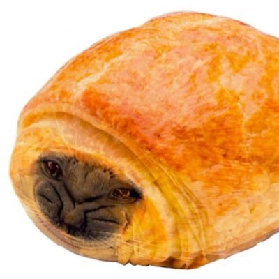 cycentwt's profile picture. I have two sides……