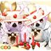 ブルーダイヤ@10鯖 (@pso2daiya) Twitter profile photo ブルーダイヤ@10鯖 (@pso2daiya) Twitter profile photo