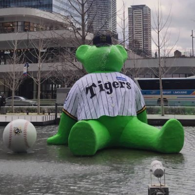 chikuchiku (@chikuchiku6) / Posts / X