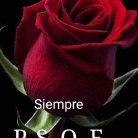 Piedad Casero 🇪🇦🇯🇴 (@piedicasero) 's Twitter Profile Photo Piedad Casero 🇪🇦🇯🇴 (@piedicasero) 's Twitter Profile Photo
