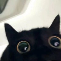 aaakyj (@aaakyj) 's Twitter Profile
