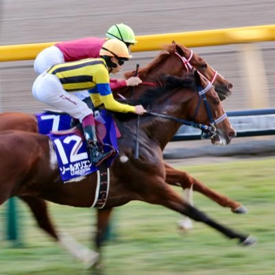 2020JCから競馬にハマったアラサー牝(既婚)。 現地ではカメラもって歩き回っています。馬券は超下手です。全人馬無事であれ🙏🏇ﾕｰｶﾞ,ﾘｭｰｾｰ,ﾀｹｼ,ｶｽﾞｵ,ﾄｻｷ応援📣