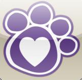 Premiere dog friendly travel site with weekly travel tips.
Download our free Dog Friendly App on iTunes and now on Google Play!
