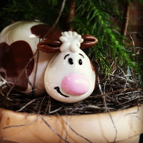 drorram's profile picture. Architect