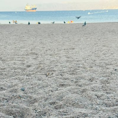 XDan74696239527's profile picture. 