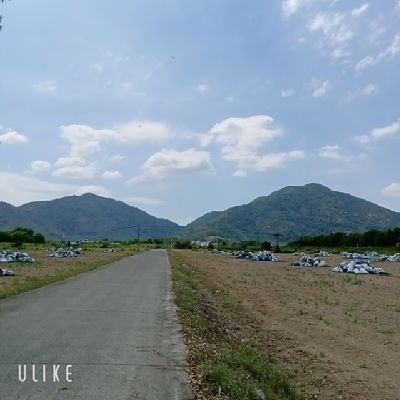 Huy1894255's profile picture. Tôi là đàn ông. Thành phố biển