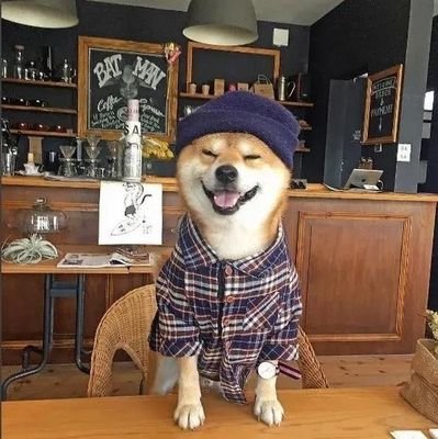 degen8_'s profile picture. I’m not addicted to crypto… I can quit anytime (after lambo).