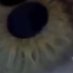 jatayu (@jatayu797600) Twitter profile photo jatayu (@jatayu797600) Twitter profile photo