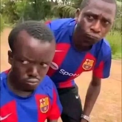 SForttunato's profile picture. 