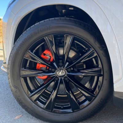 moyusakura's profile picture. 