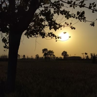 monti_088's profile picture. satire
