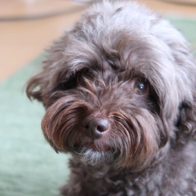 1achan6's profile picture. 20さい