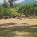 Kijana Ya Village (@kijanayavillage) Twitter profile photo Kijana Ya Village (@kijanayavillage) Twitter profile photo