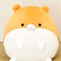 ちーふ オープン用 (@caseyopen) 's Twitter Profile Photo ちーふ オープン用 (@caseyopen) 's Twitter Profile Photo