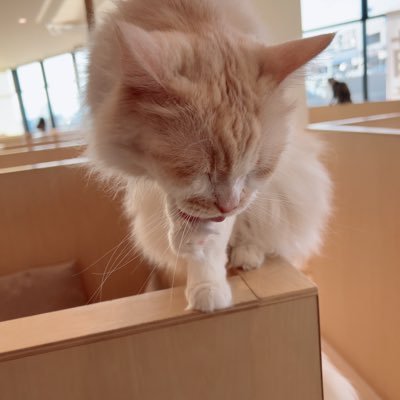 Hiro98395247's profile picture. 