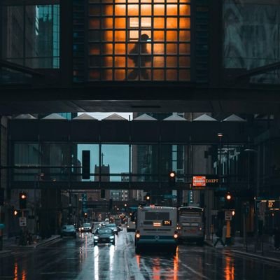 beetlecrowd's profile picture. 