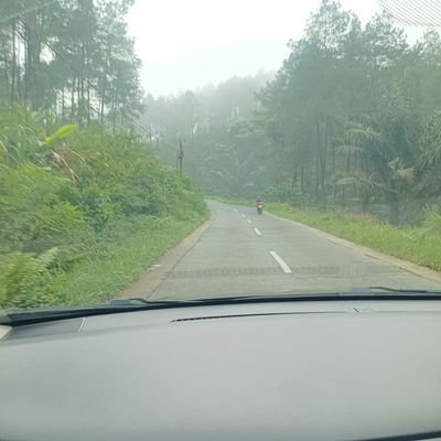 Jackal_wolf's profile picture. old school, cyclists