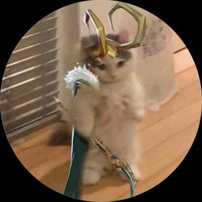 nijel ๐ is learning to play loki Profile