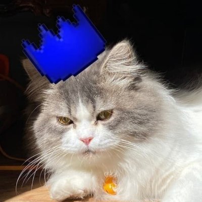 n10ctib's profile picture. mfer just psyoped me into holding this jeet coin!
@wenlaunchwar