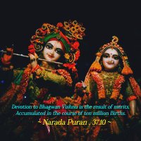 ЁЯТл Akinchana Vittaya ЁЯТл (@krishnamsharn) 's Twitter Profile Photo ЁЯТл Akinchana Vittaya ЁЯТл (@krishnamsharn) 's Twitter Profile Photo