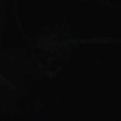 Rusen28790225's profile picture. rusen