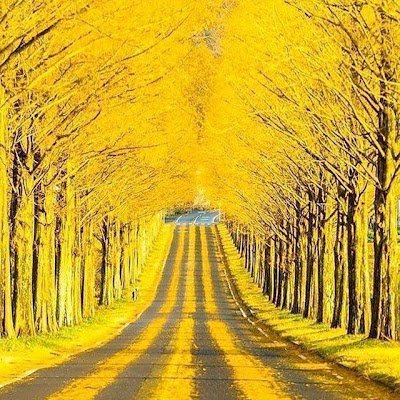 Rainbow25Sun's profile picture. 