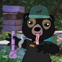 MattMematic 🌿⚡️ (@mattmematic) 's Twitter Profile