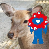 Cervidae🌸 (@shikana22625318) 's Twitter Profile Photo Cervidae🌸 (@shikana22625318) 's Twitter Profile Photo