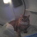 Rocky Lee Byrd - @xafuok32 - Twitter