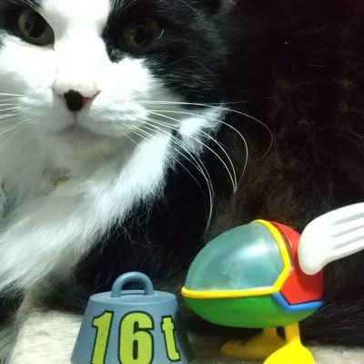 FZ_OPAOPA's profile picture. ゲーム好き。ゲームサントラ好き。アニメ好き。漫画好き。猫好き。