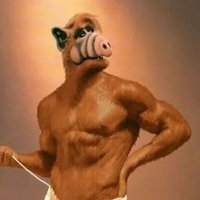 GordonShumway™ (@bumbumbastisch) 's Twitter Profile