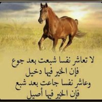 الراي الحر (@ff123456789987) 's Twitter Profile Photo الراي الحر (@ff123456789987) 's Twitter Profile Photo