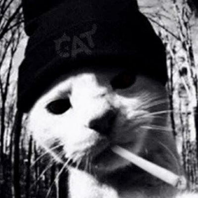 maxime_ldck's profile picture. 21愛 #VforVictory