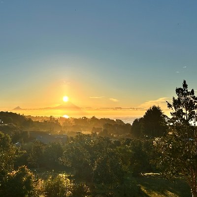 Rolando_Osorno2's profile picture. Nuestra sociedad “involuciona” y cuesta hoy  tender puentes.