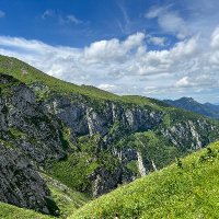 Mateusz Sokół (@mt_sokol) 's Twitter Profile