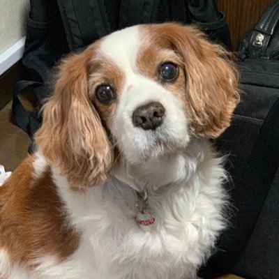 cosho1224's profile picture. 